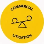 Commercial litigation 220x220