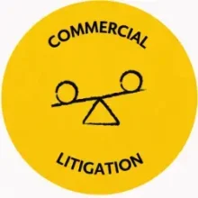 Commercial litigation 220x220